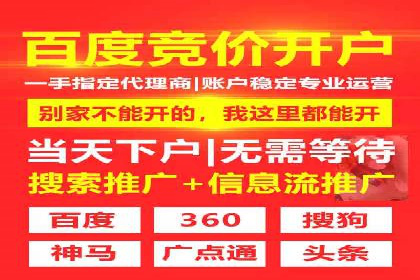 推广竞价策略解析：成功案例分享